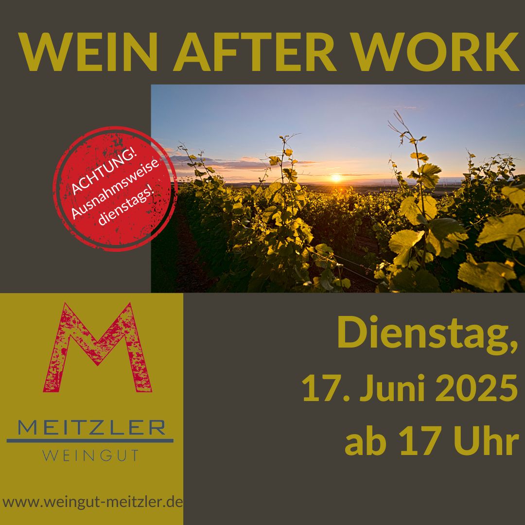 17Juni_2025_1