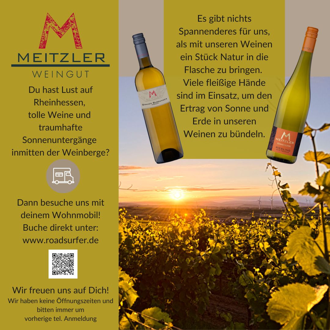 Imageflyer_Weingut_2