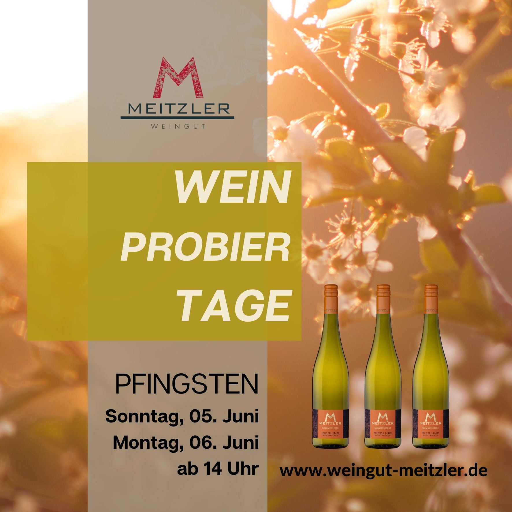 Weinprobiertage_1